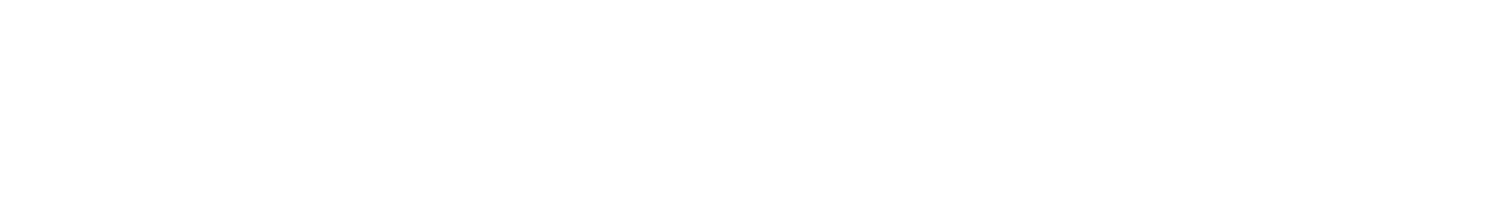 logo-wzs-70-zehnkampf-1